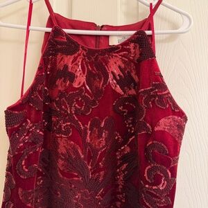 Cranberry Red Belle Badgley Mishka gown